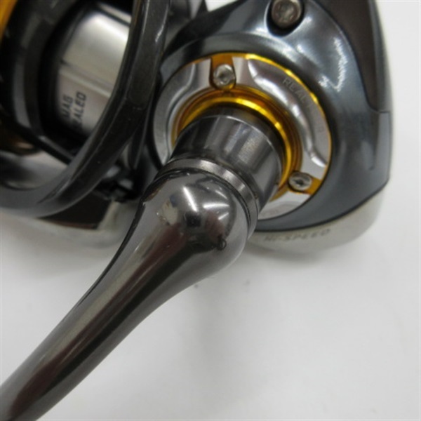 １３セルテート２５０６Ｈ